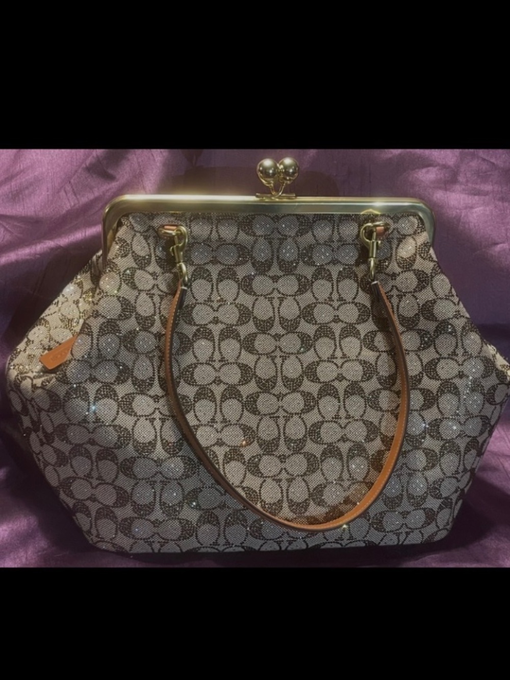 Coach Large Crystal Kisslock